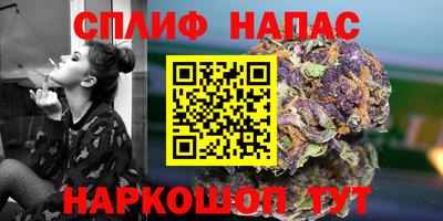 прущие крисы Нальчик