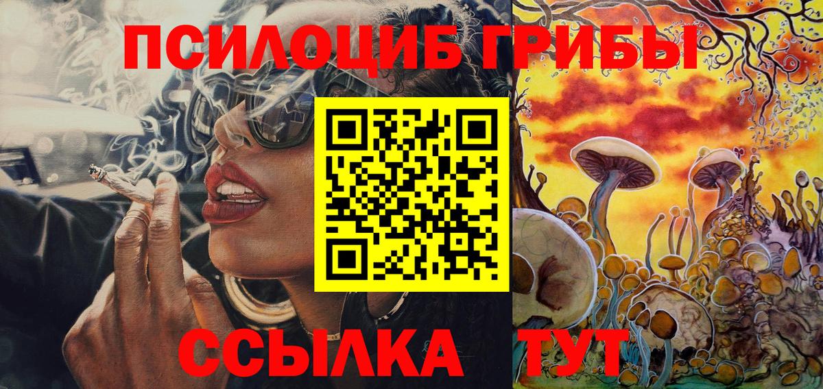 Галлюциногенные грибы Psilocybine cubensis Сарапул